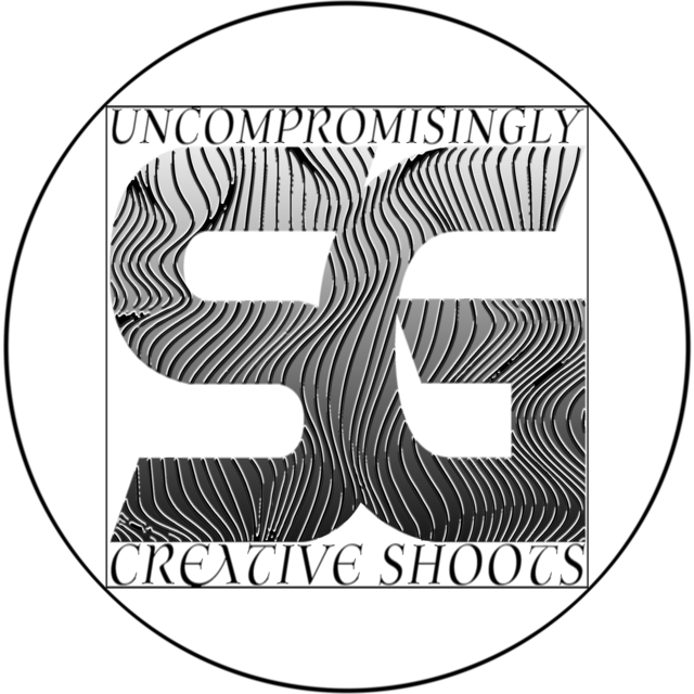 Oettingen - a photographic review Logo