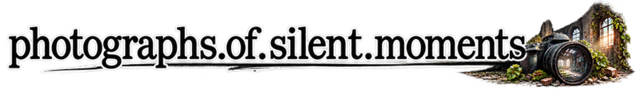 silent-moments photography Logo