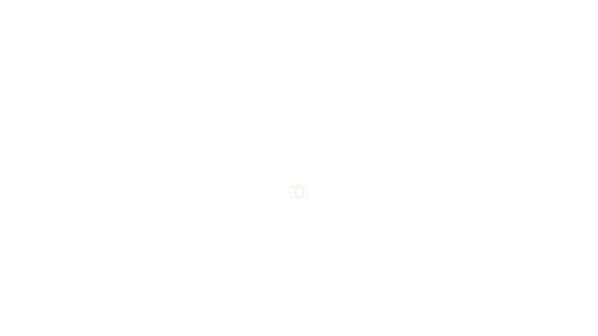Header Shop Logo