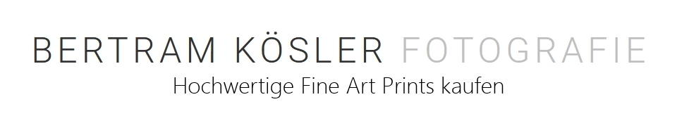 Header Shop Logo