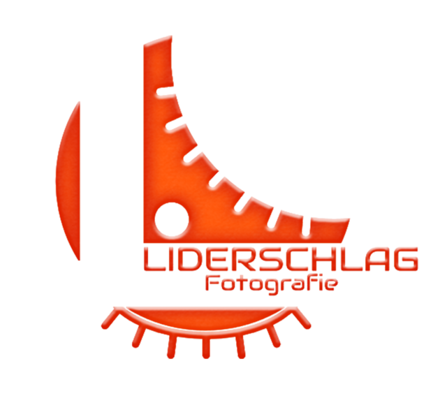 liderschlag Logo