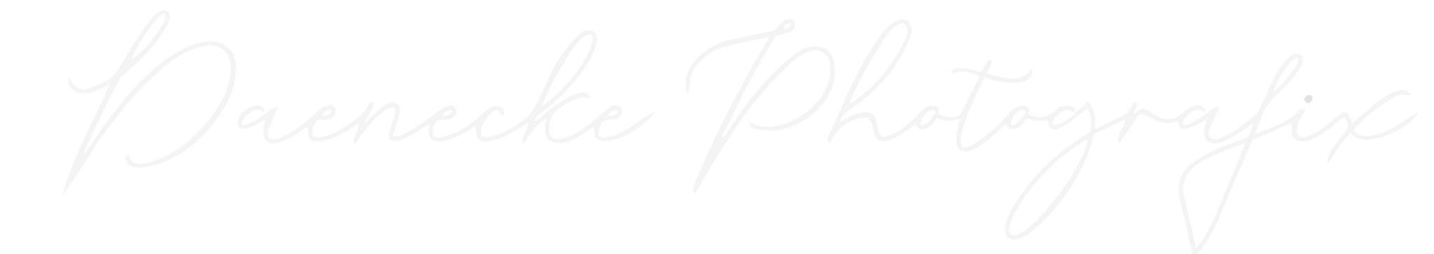 Header Shop Logo