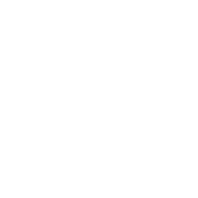 sattelsport Logo