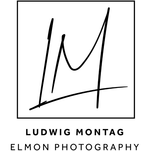 Header Shop Logo