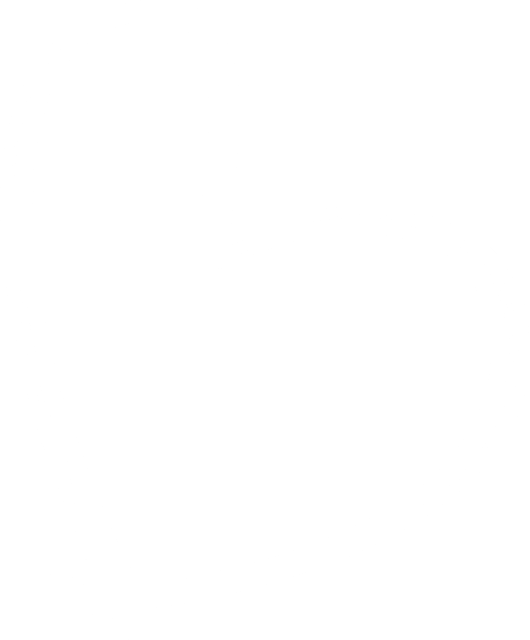 Beautiful Braunschweig Logo