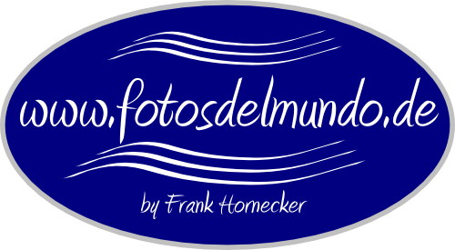 Header Shop Logo