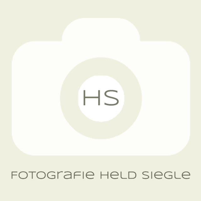 Ernst-Held-Licht Logo