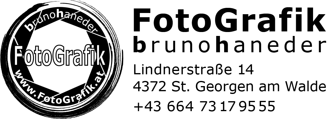 Header Shop Logo