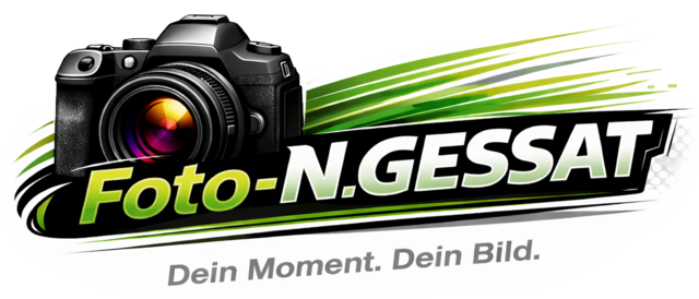Foto-N.Gessat Logo