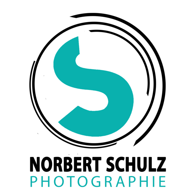 Norbert Schulz  Logo