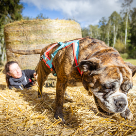 Camp Canis | tierische-augenblicke