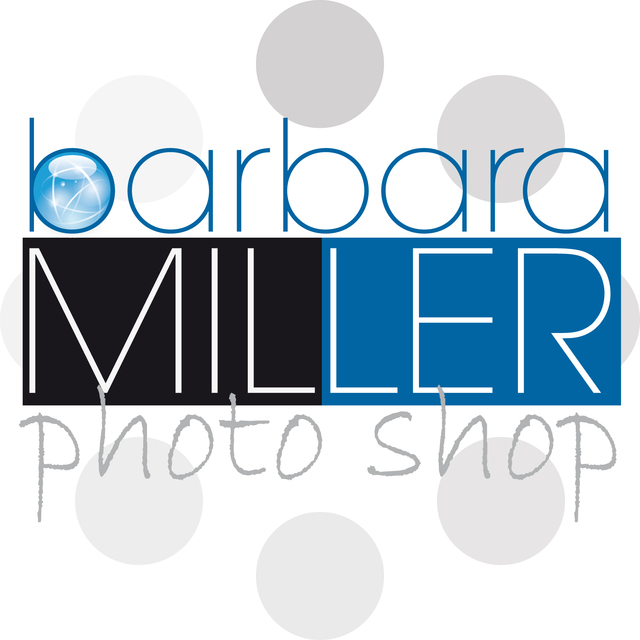 Header Shop Logo