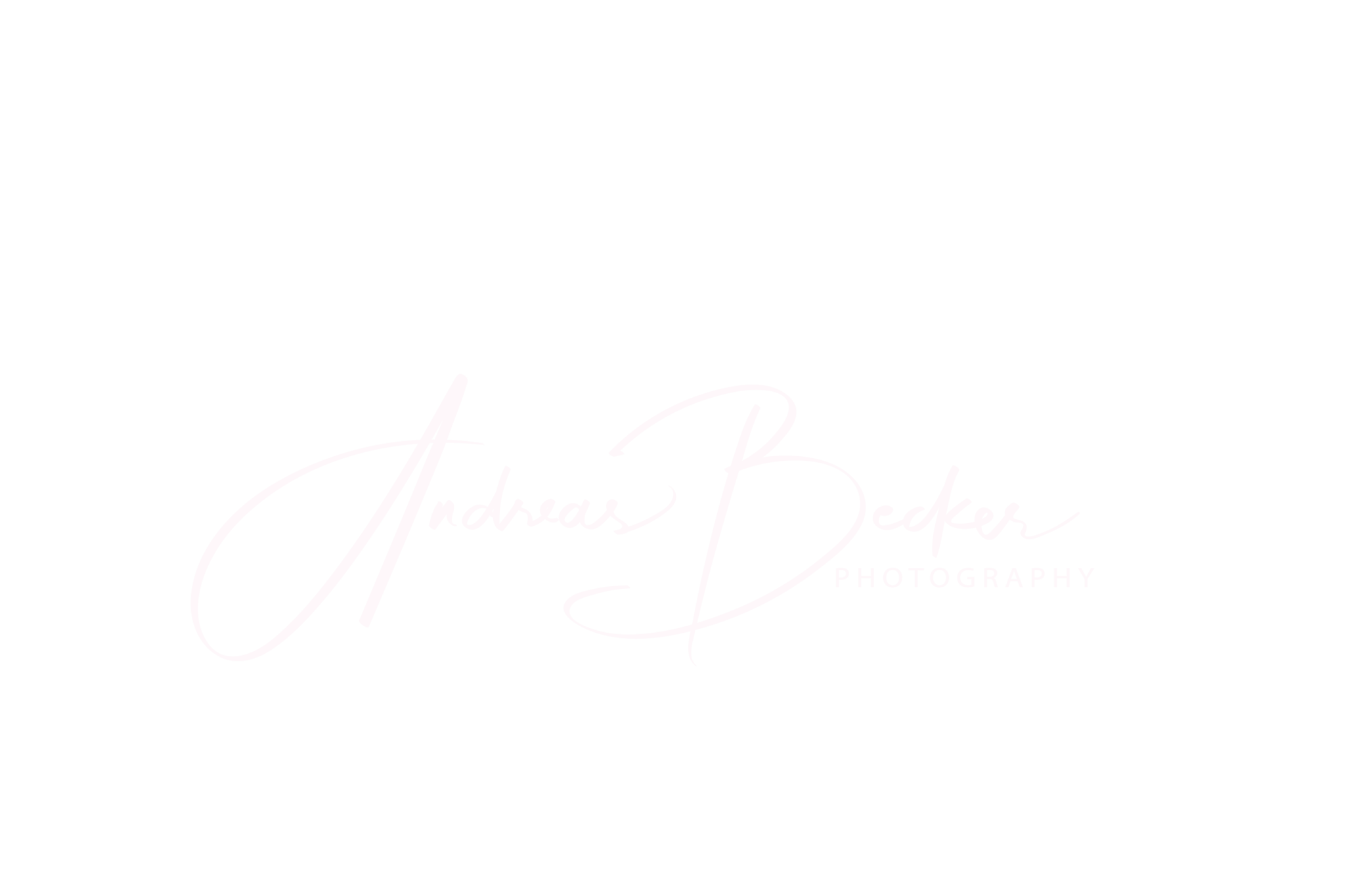 Header Shop Logo