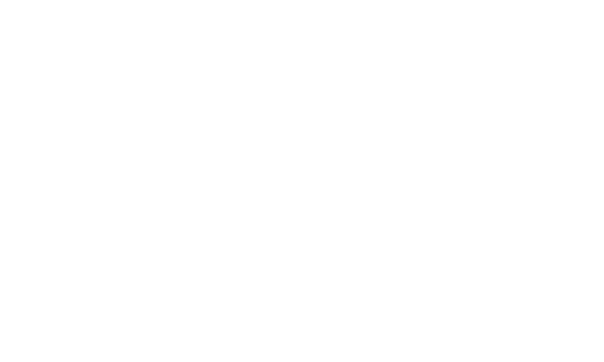 Header Shop Logo