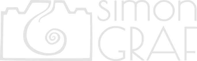 Header Shop Logo