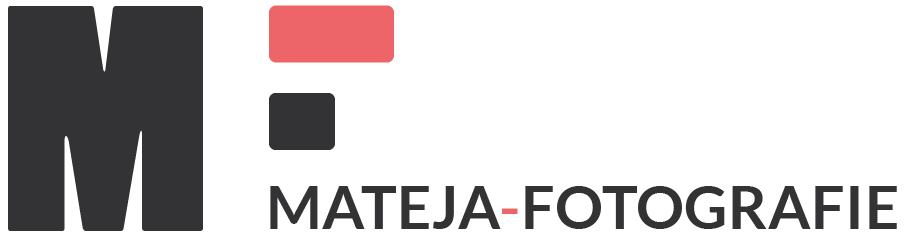 Header Shop Logo