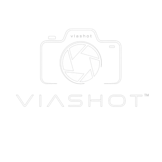 VIASHOT Logo