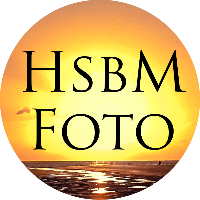 Header Shop Logo