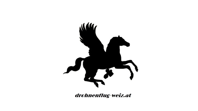 drohnenflug-weiz.at Logo