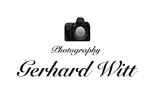 Header Shop Logo