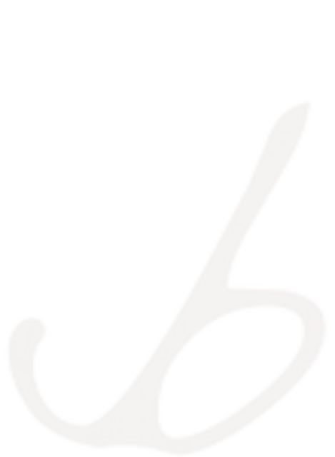 Bruunwerk.de Logo