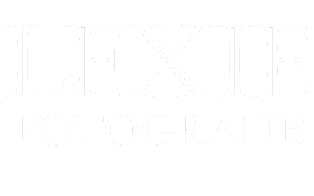 Header Shop Logo