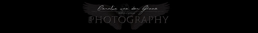 Header Shop Logo