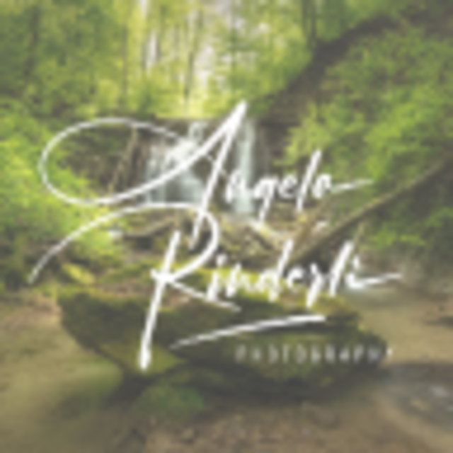 Angela Rinderli Photography Logo