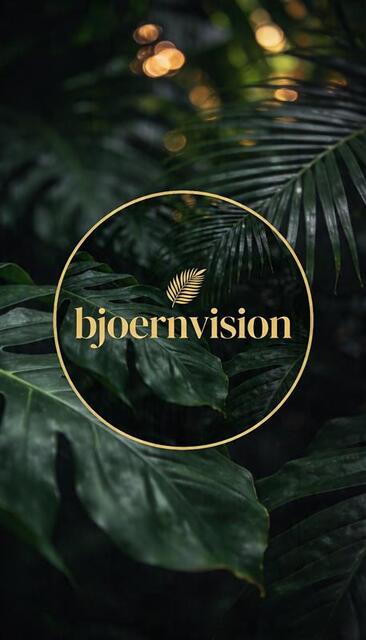 bjoernvision Logo