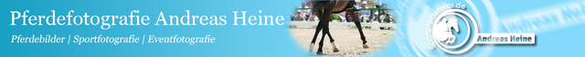 Fotodatenbank - sportpferdefotos.de Logo