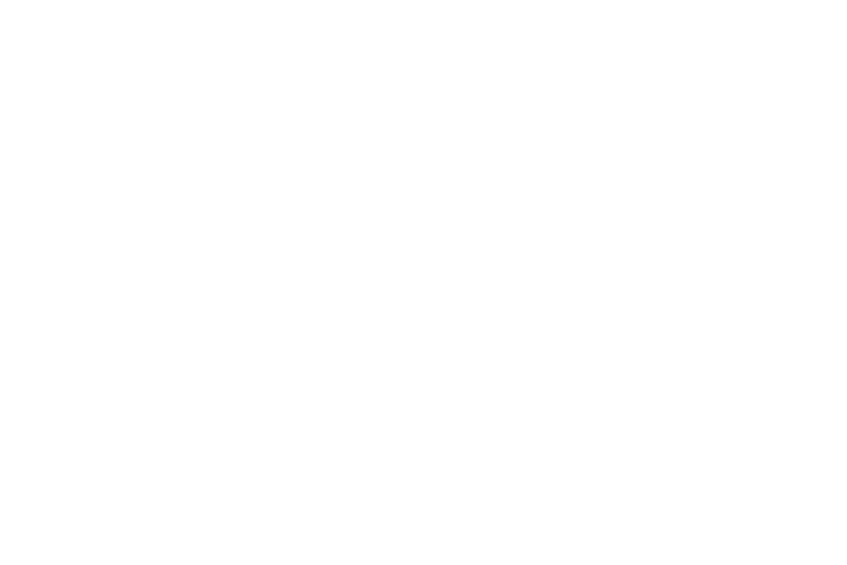 Header Shop Logo