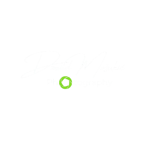 Header Shop Logo