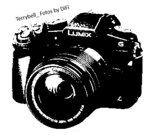 Header Shop Logo
