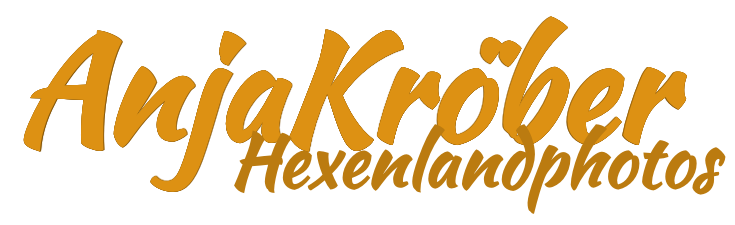 Header Shop Logo