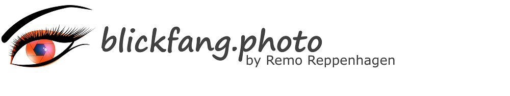 Header Shop Logo