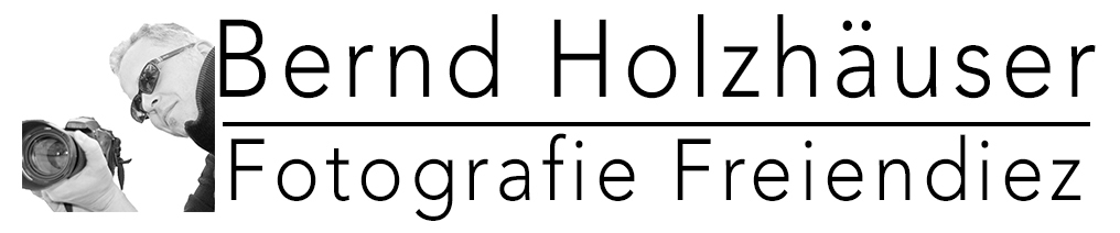 Header Shop Logo