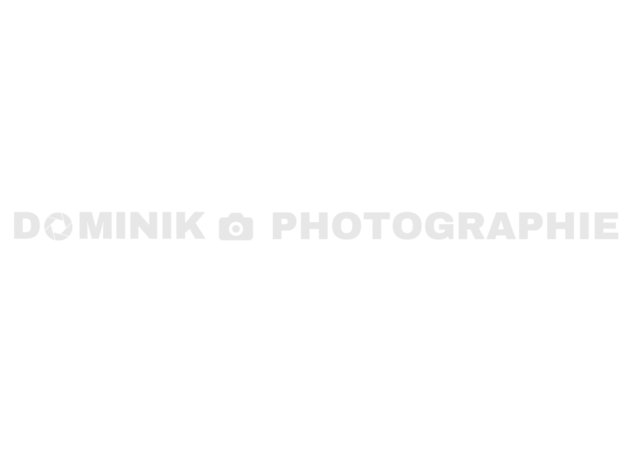 dominik-photographie Logo