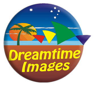 Header Shop Logo