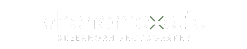 Header Shop Logo