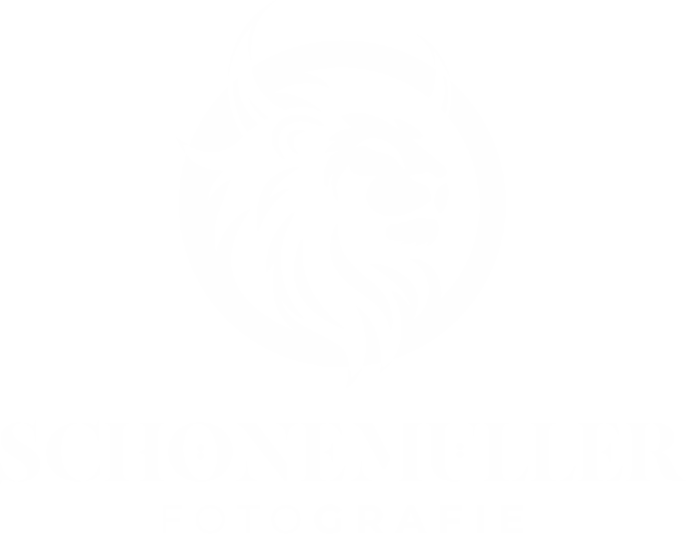 Header Shop Logo