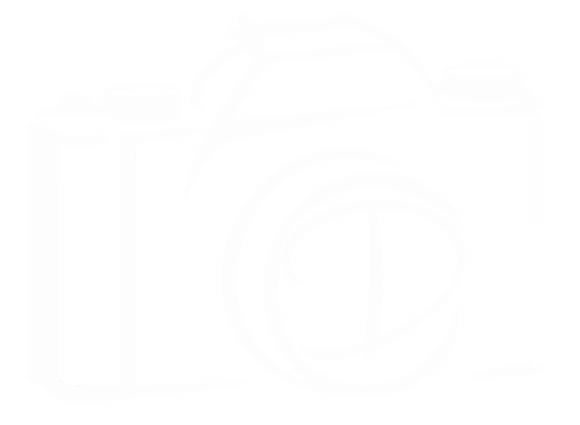 Devin Fotografie Logo