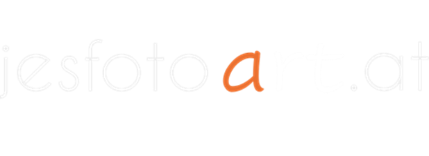 Header Shop Logo