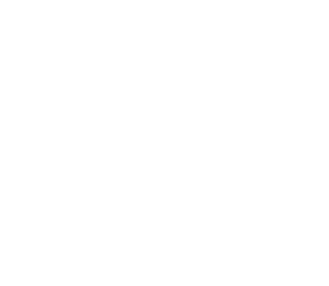 Adriana Mueller Logo