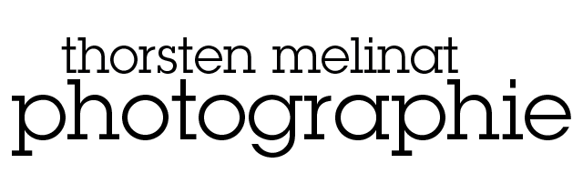 Header Shop Logo