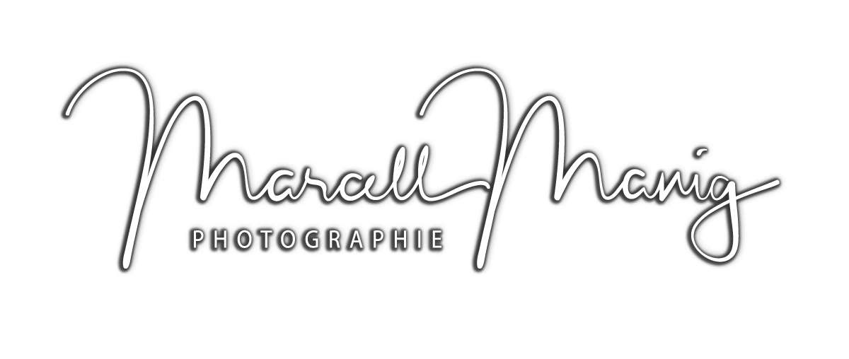 Header Shop Logo