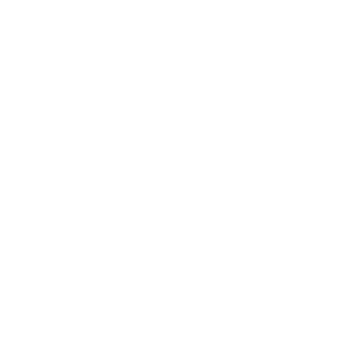 Header Shop Logo