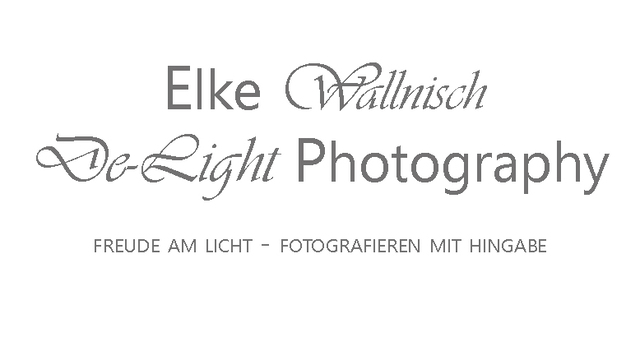 LICHTSTARKE MOMENTE Logo