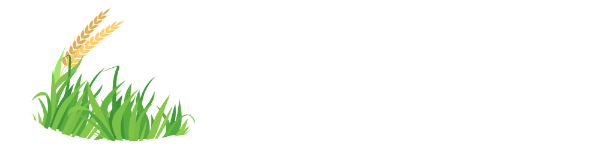 Header Shop Logo