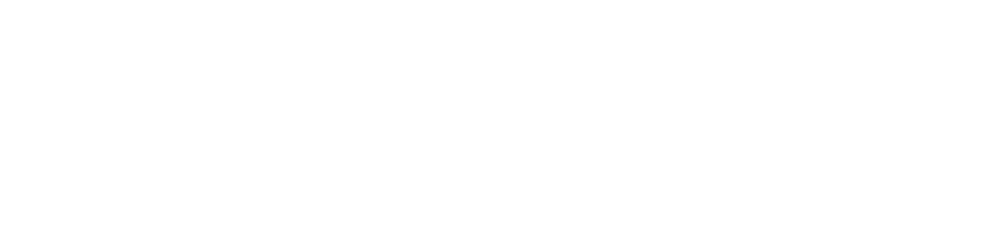 Header Shop Logo