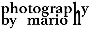 Header Shop Logo